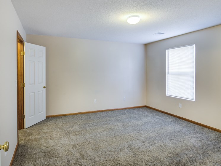 carpeted room with large window